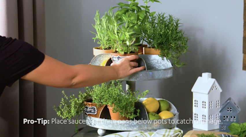 Pumpkin planter